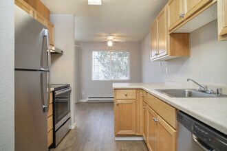 1 Bedroom Standard floor plan
